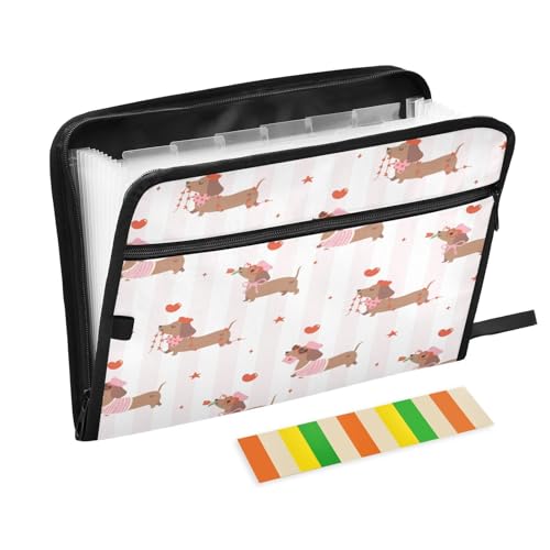 Kcldeci Fächermappe mit Dackel-Motiv, 13 Fächer, Akkordeon-Ordner, A4, Briefgröße, Papier, Dokumente, Quittungen, Organizer, Akkordean-Aktenordner für Klassenzimmer, Zuhause, Büro und Büro Kcldeci Fächermappe mit Dackel-Motiv, 13 Fächer, Akkordeon-Ordner, A4, Briefgröße, Papier, Dokumente, Quittungen, Organizer, Akkordean-Aktenordner für Klassenzimmer, Zuhause, Büro und Büro von Kcldeci