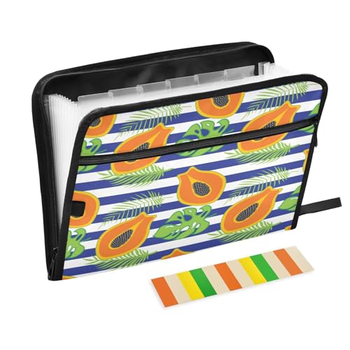 Kcldeci Papaya Fächermappe mit 13 Fächern, bunt, gestreift, Akkordeon-Ordner, A4, Briefgröße, Papier, Dokumente, Quittungen, Organizer, Akkordean-Aktenordner für Klassenzimmer, Zuhause, Büro und Kcldeci Papaya Fächermappe mit 13 Fächern, bunt, gestreift, Akkordeon-Ordner, A4, Briefgröße, Papier, Dokumente, Quittungen, Organizer, Akkordean-Aktenordner für Klassenzimmer, Zuhause, Büro und von Kcldeci