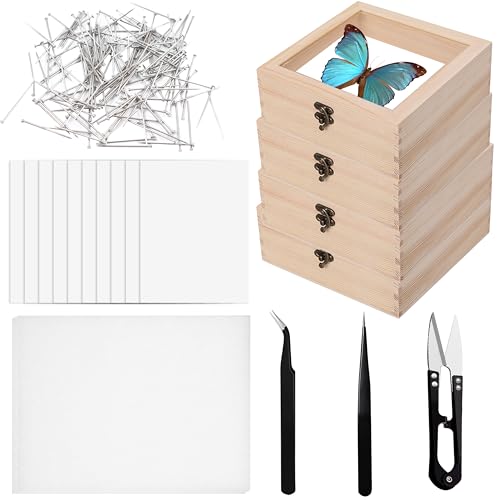 Herstellung von Insektenproben Werkzeug Kit Insekt Vitrine 4 Holzkisten 10 Blatt Transparentpapier 200 Insekt Pins 2 Butterfly Montagetafeln aus EVA Schaumstoff Pinzette Schere Insektensammlung von KeaJuidy