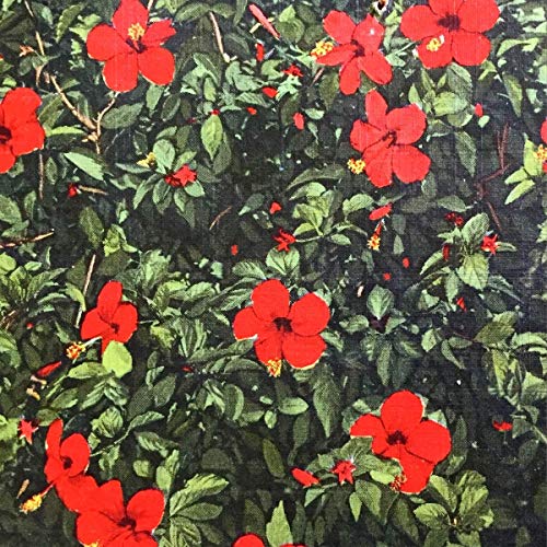 Denatured [Vinyl LP] von Keeled Scales / Cargo