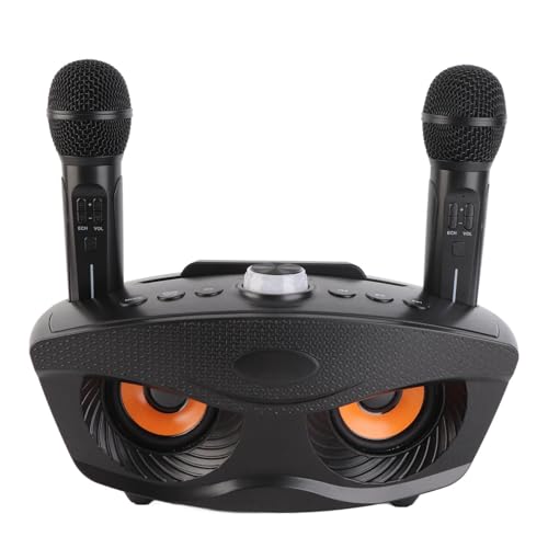 Haussprecher mit Zwei Mikrofonen, Speicherkarten und USB -Unterstützung für Musikbegeisterte (Black) von Keenso