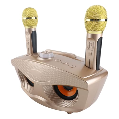 Haussprecher mit Zwei Mikrofonen, Speicherkarten und USB -Unterstützung für Musikbegeisterte (Gold) von Keenso