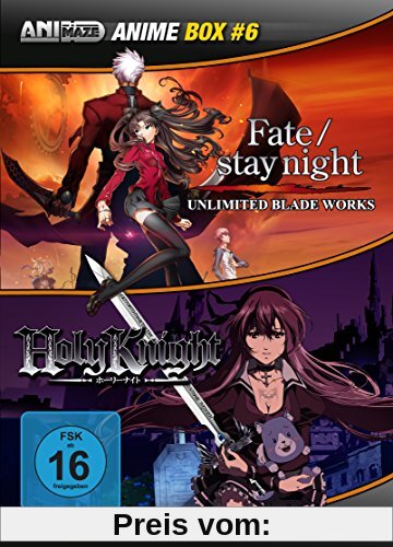 WFate/Stay Night / Holy Knight [2 DVDs] von Kenichi Takeshita