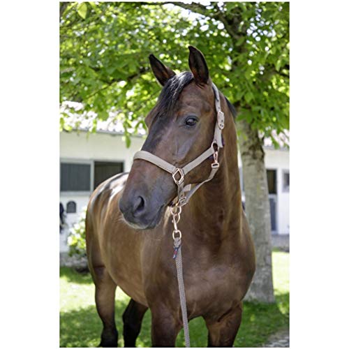 Halfter F/S 2021 navy, Pony Halfter F/S 2021 navy, Pony von Kerbl