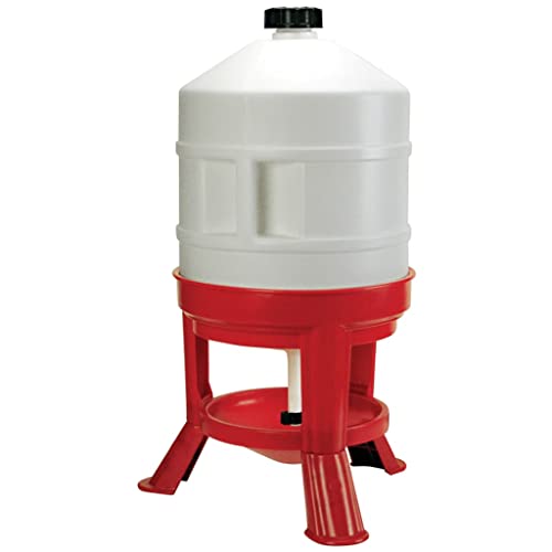 Kerbl Hühnertränke 30L, Automatische Wasserversorgung für Geflügel, Bruchfester langlebiger Kunststoff, Mit Tragegriffen, Für Bodenhaltung, Lebensmittelecht von Kerbl Hobbyfarming