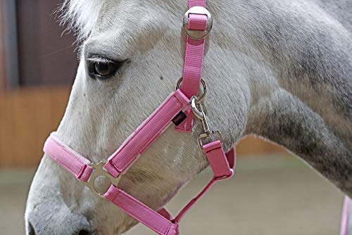 Pony Halfter-Set Lilli Starlight, m.Führstrick Pony von Kerbl