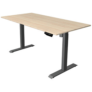 Kerkmann Move 1 elektrisch höhenverstellbarer Schreibtisch ahorn rechteckig, T-Fuß-Gestell grau 160,0 x 80,0 cm Kerkmann Move 1 elektrisch höhenverstellbarer Schreibtisch ahorn rechteckig, T-Fuß-Gestell grau 160,0 x 80,0 cm von Kerkmann