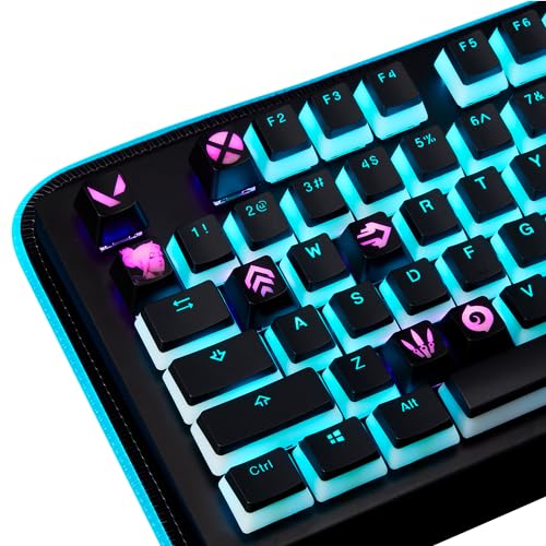 Valorant Custom Keycaps (Agent Gekko) – Lasergravur mit Portrait, Fähigkeiten und Position jedes Valorant Agents. Passt zu jeder mechanischen Tastatur. Valorant Geschenk für Gamer, Erwachsene und von KeycapBro