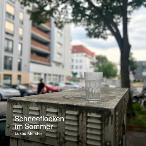 Schneeflocken Im Sommer [Vinyl Single] von Kick the Flame (Broken Silence)