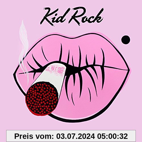 First Kiss von Kid Rock