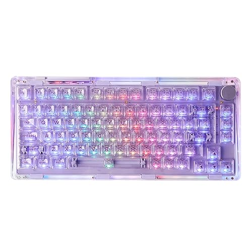KiiBoom Phantom 81 V2 75% Hot Swappable Upgraded Crystal Gasket Mechanical Keyboard, Triple Mode NKRO Gaming Keyboard with South-Facing RGB, Clear Keycaps, 4000mAh Battery for Win/Mac (Lila) von KiiBoom