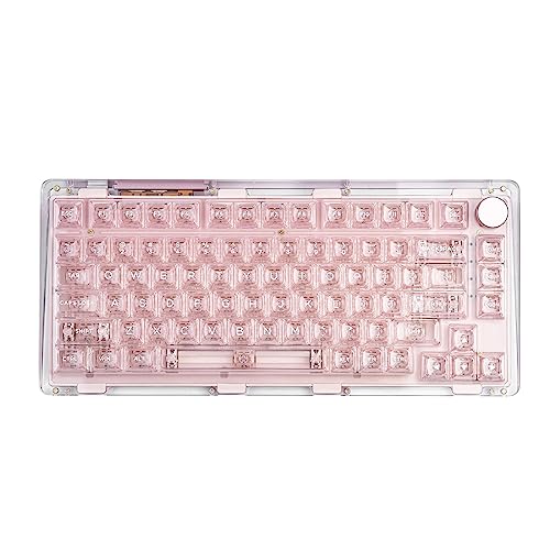 KiiBoom Phantom 81 V2 75% Hot Swappable Upgraded Crystal Gasket Mechanical Keyboard, Triple Mode NKRO Gaming Keyboard with South-Facing RGB, Clear Keycaps, 4000mAh Battery for Win/Mac (Rosa) von KiiBoom