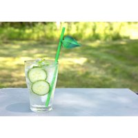 Leaf Paper Straws Leaf Paper Straws von Kikkerland