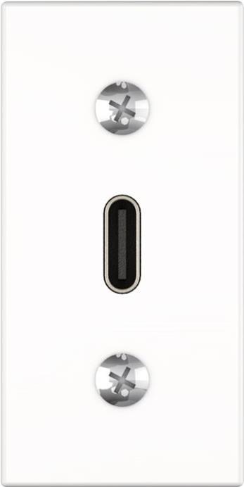 Kindermann Konnect flex 45 click USB Typ C - Modulares Faceplate-Snap-In - USB Typ C - weiß, RAL 9003 (7464000549) von Kindermann