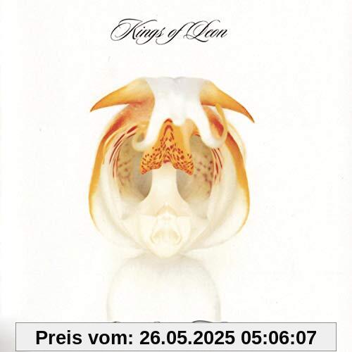 Aha Shake Heartbreak von Kings of Leon