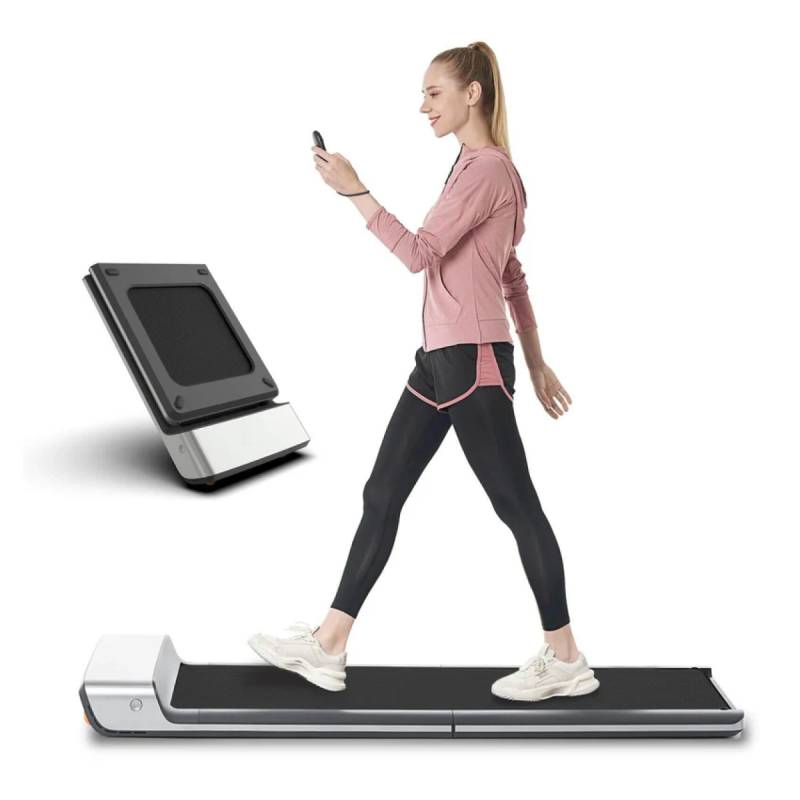 Walkingpad P1 von Kingsmith