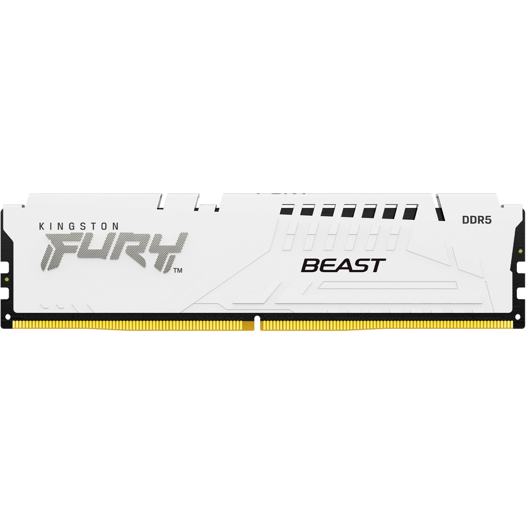 DIMM 16 GB DDR5-6000, Arbeitsspeicher DIMM 16 GB DDR5-6000, Arbeitsspeicher von Kingston FURY