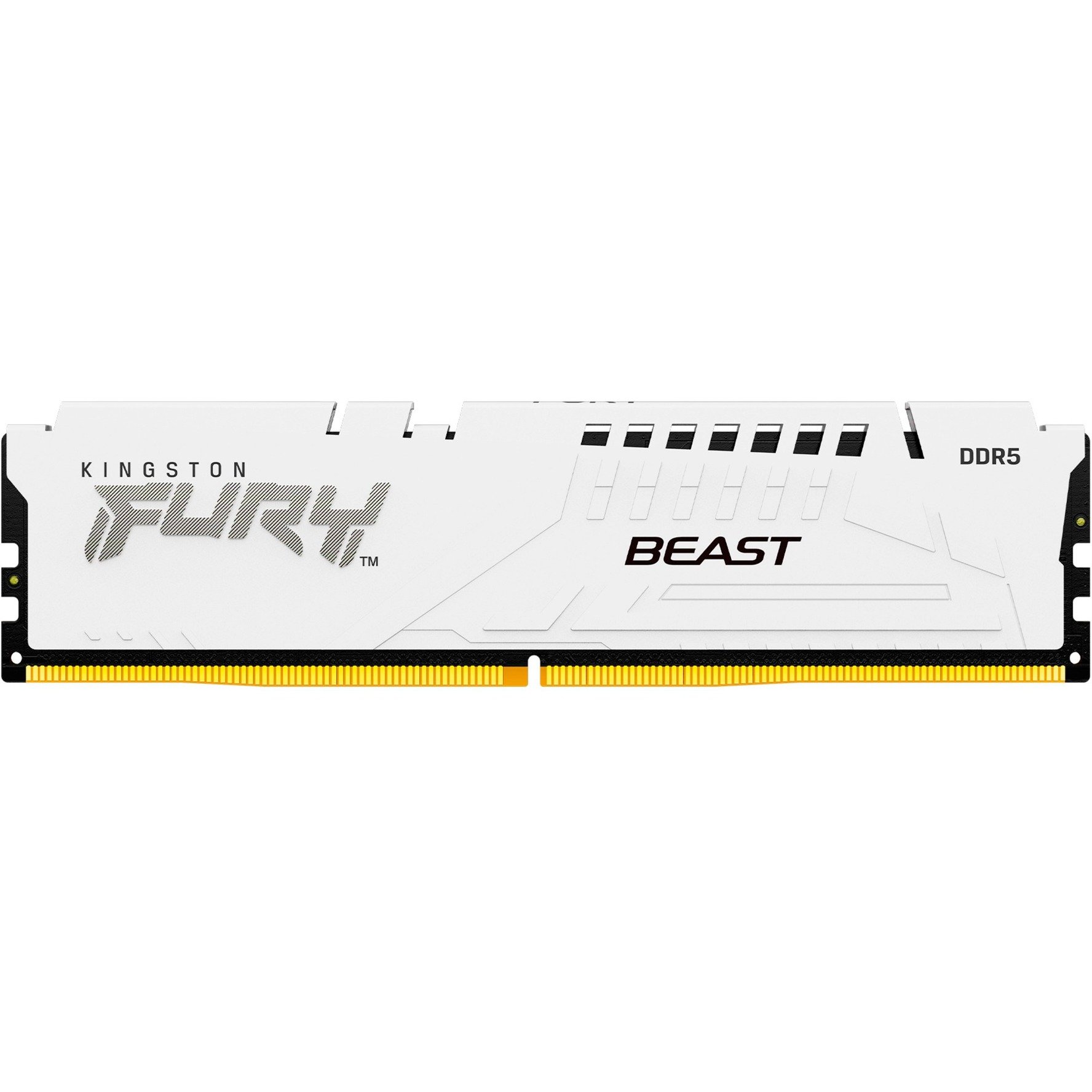 DIMM 16 GB DDR5-6800, Arbeitsspeicher DIMM 16 GB DDR5-6800, Arbeitsspeicher von Kingston FURY