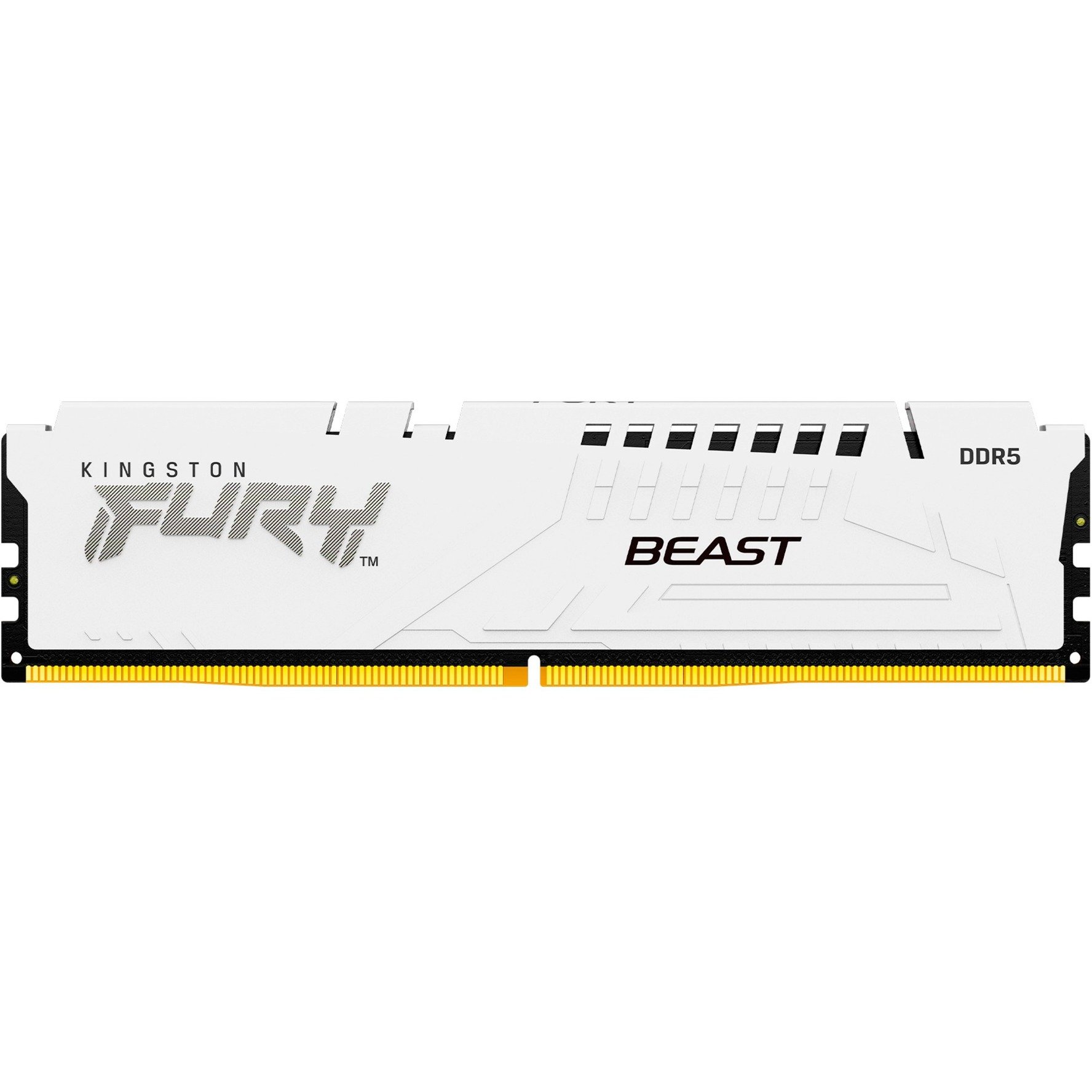 DIMM 16 GB DDR5-6800, Arbeitsspeicher von Kingston FURY