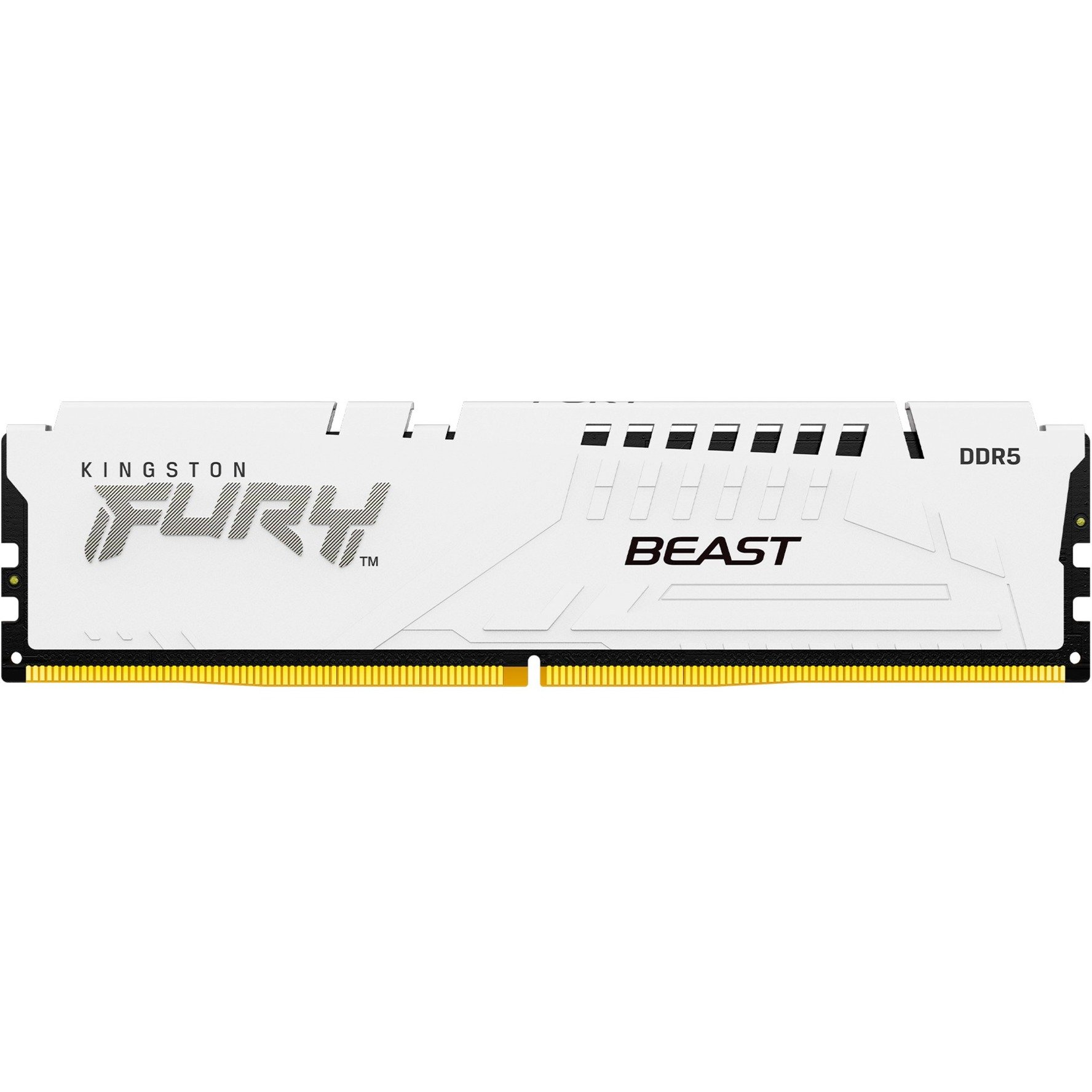 DIMM 32 GB DDR5-6000, Arbeitsspeicher von Kingston FURY