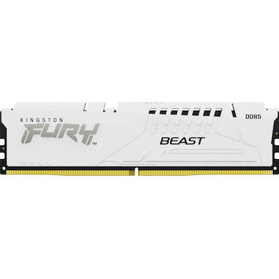 16GB (1x16GB) KINGSTON FURY Beast White EXPO DDR5-5600 CL36 RAM Arbeitsspeicher von Kingston