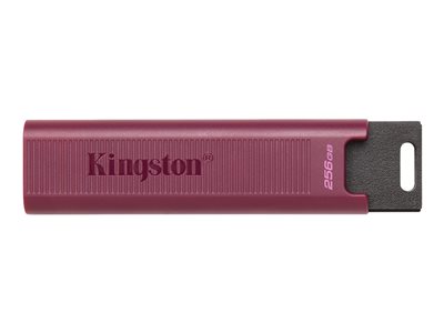 KINGSTON 256GB USB3.2 TypeA DataTraveler KINGSTON 256GB USB3.2 TypeA DataTraveler von Kingston