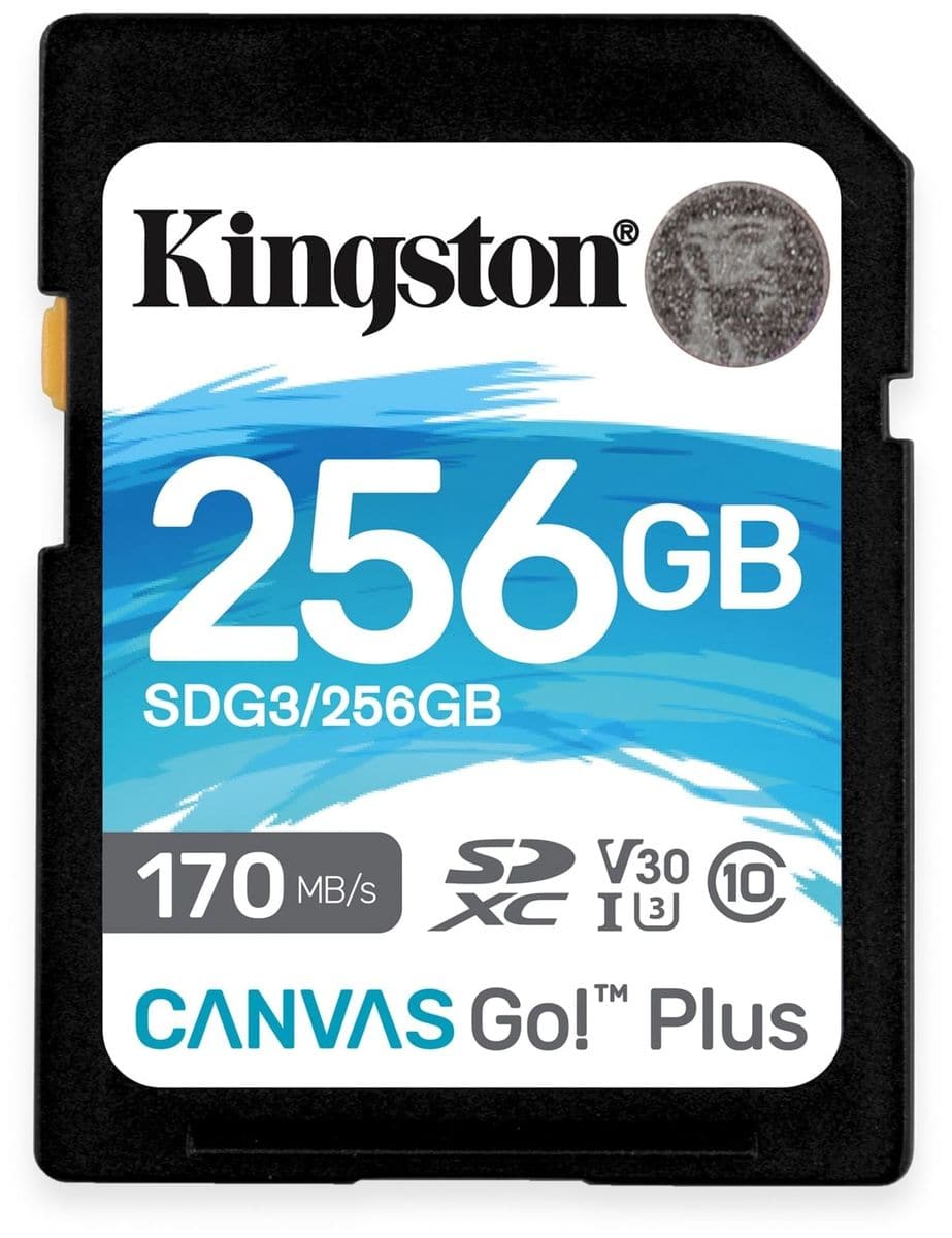 KINGSTON SD-Card Canvas GO!, 256 GB von Kingston