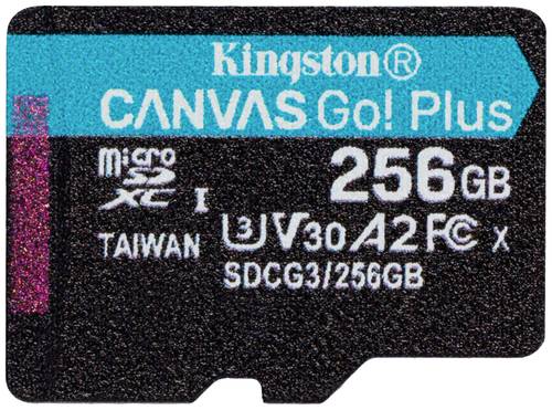 Kingston Canvas Go! Plus microSD-Karte 256GB Class 10 UHS-I von Kingston