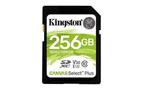 Kingston Canvas Select Plus SD — SDS2/32 GB Klasse 10 Uhs-I, 256 GB von Kingston