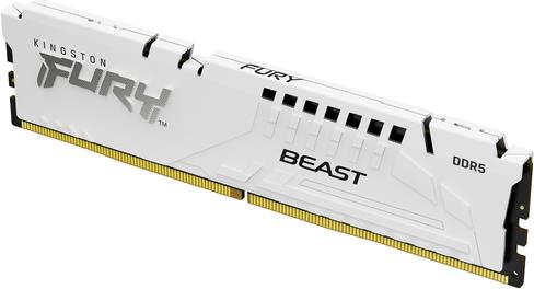 Kingston FURY Beast - DDR5 - Modul - 16 GB - DIMM 288-PIN (KF560C36BWE2-16) von Kingston