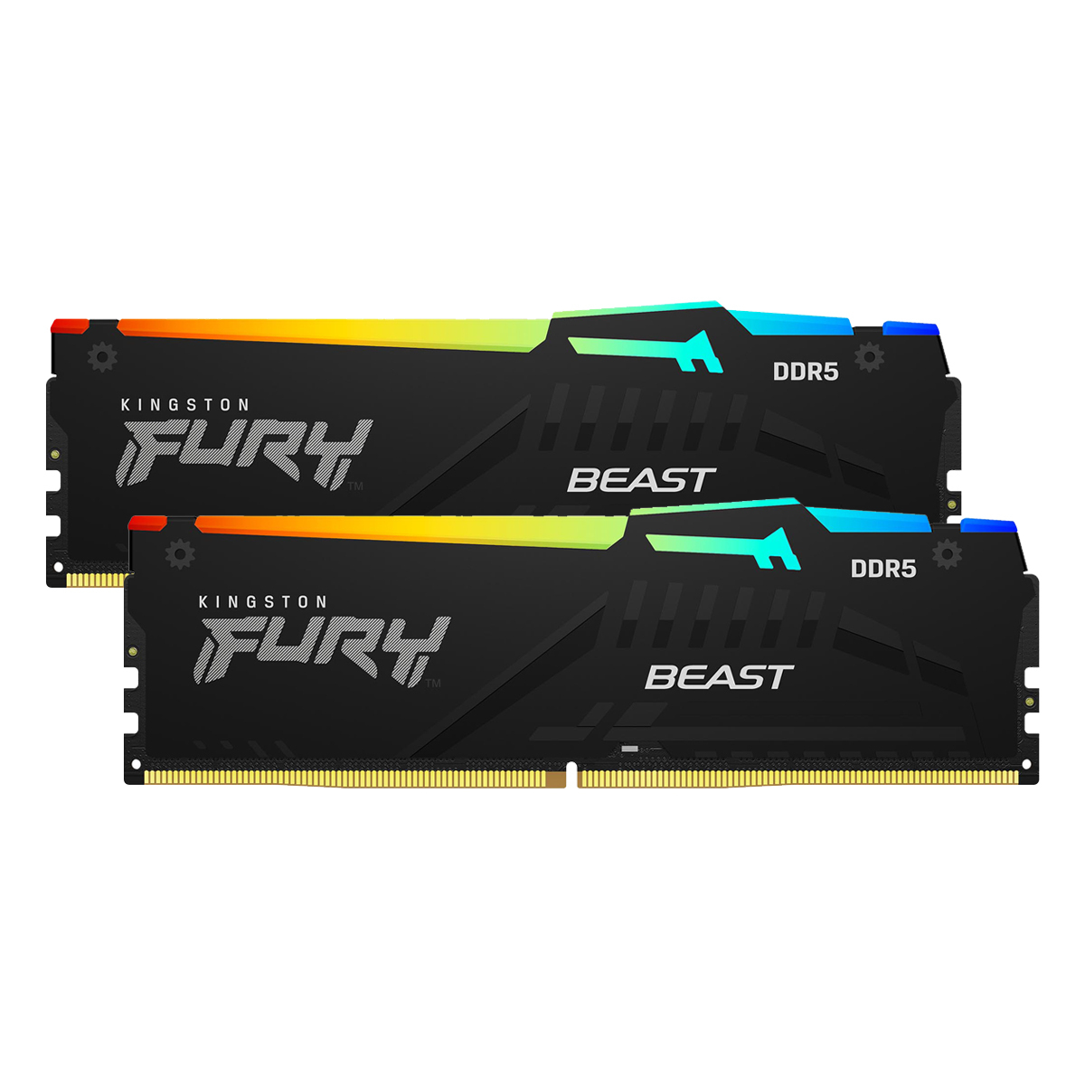 Kingston FURY Beast RGB Schwarz 64GB Kit (2x32GB) DDR5-6000 XMP CL40 DIMM Arbeitsspeicher von Kingston