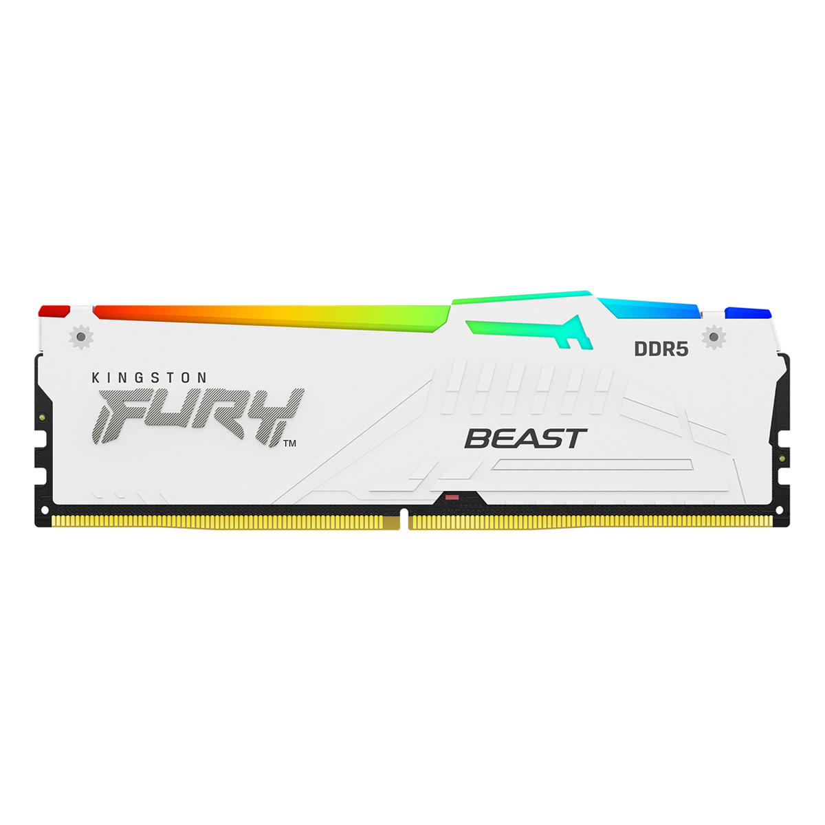 Kingston FURY Beast RGB Weiß 32GB DDR5-6000 EXPO DIMM Arbeitsspeicher, CL36-38-38, 1.35V Kingston FURY Beast RGB Weiß 32GB DDR5-6000 EXPO DIMM Arbeitsspeicher, CL36-38-38, 1.35V von Kingston