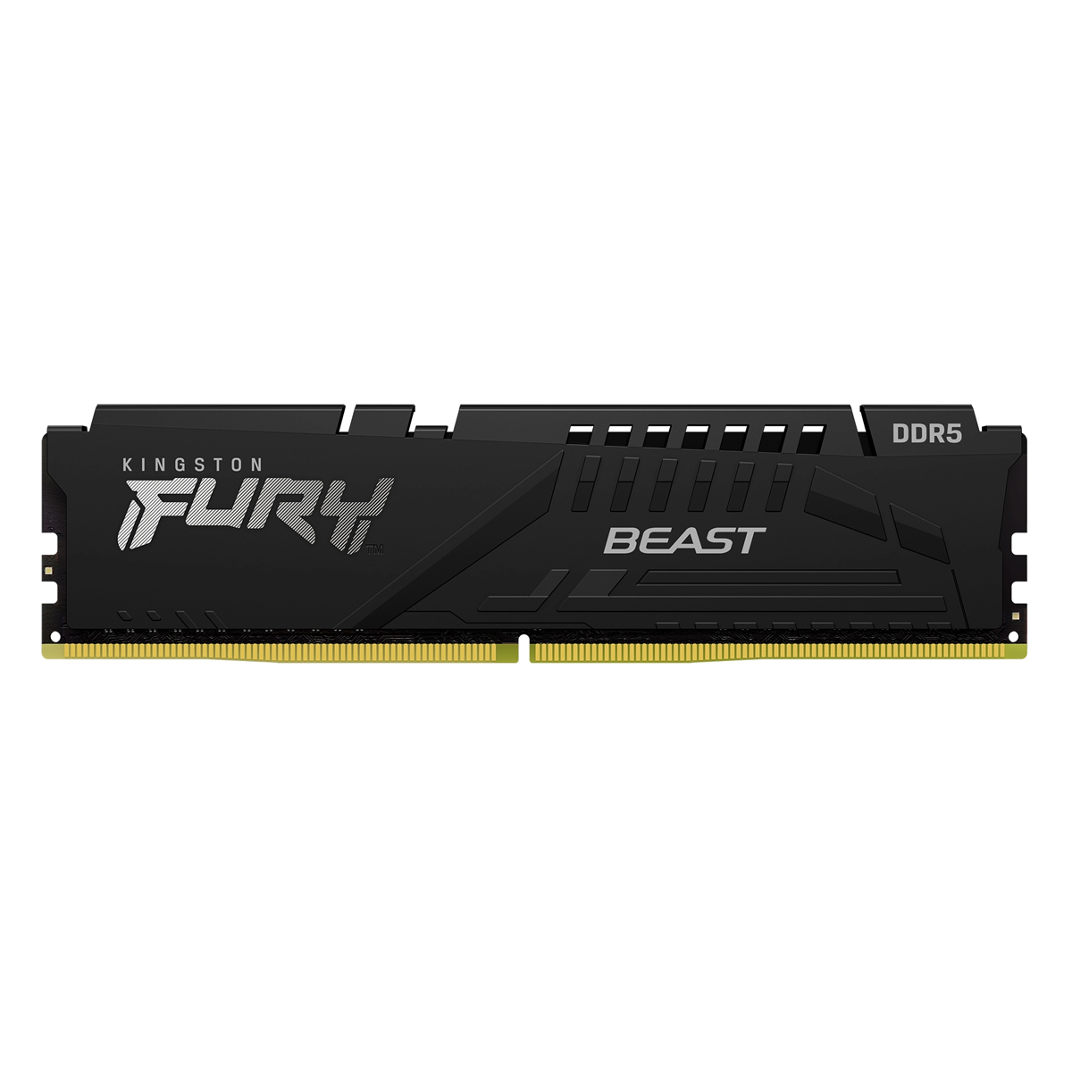 Kingston FURY Beast Schwarz 32GB DDR5-6000 EXPO CL36 DIMM Arbeitsspeicher von Kingston