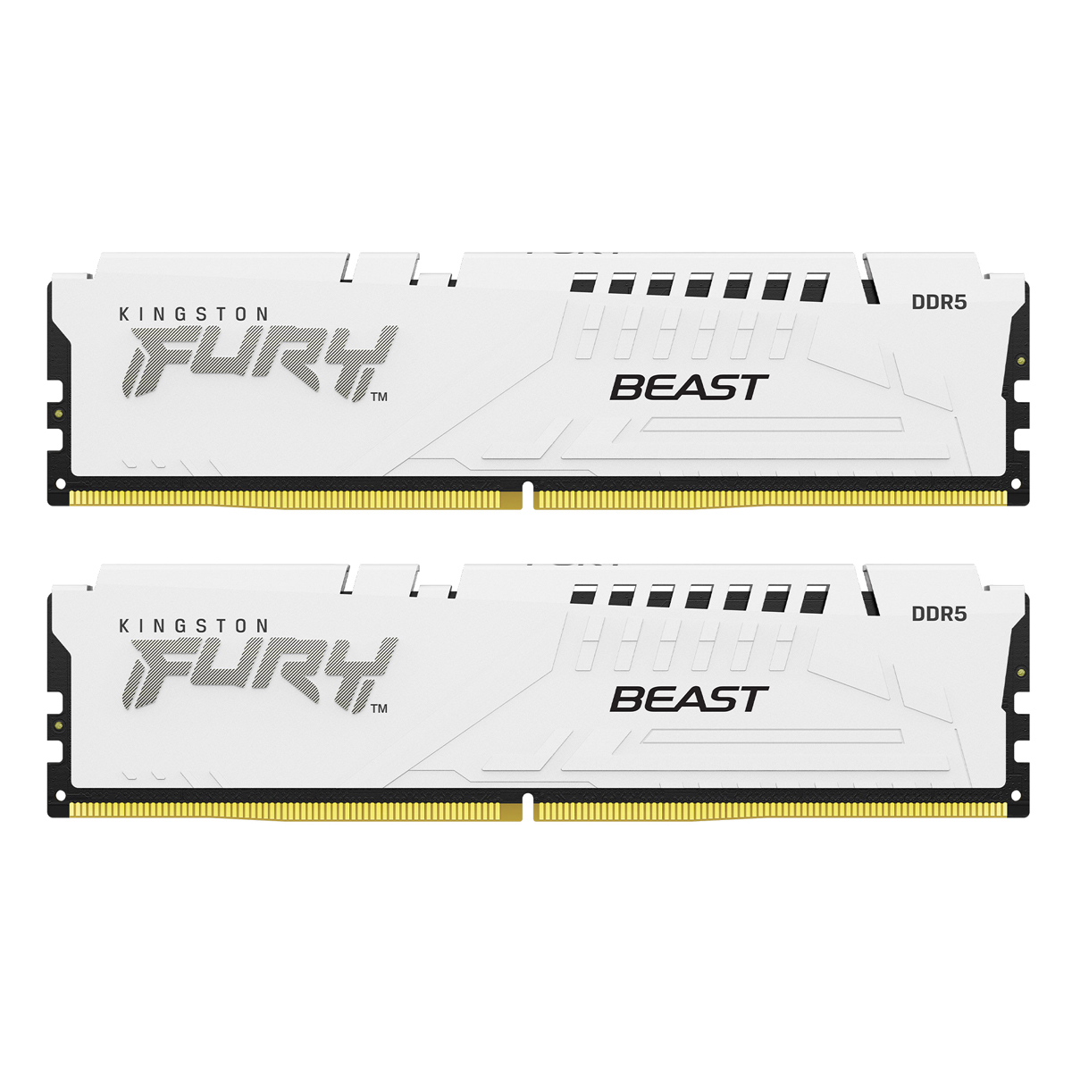 Kingston FURY Beast Weiß 32GB Kit (2x 16GB) DDR5-6000 EXPO DIMM Arbeitsspeicher, CL30-36-36, 1.4V von Kingston
