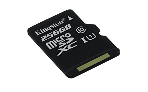 Kingston SDCS/256GBSP MicroSD Canvas Select Geschwindigkeiten der Klasse 10 UHS-I – bis zu 80 MB/s Lesezugriff (Nur Karte)- Erwecken Sie HD-Videos zum Leben von Kingston