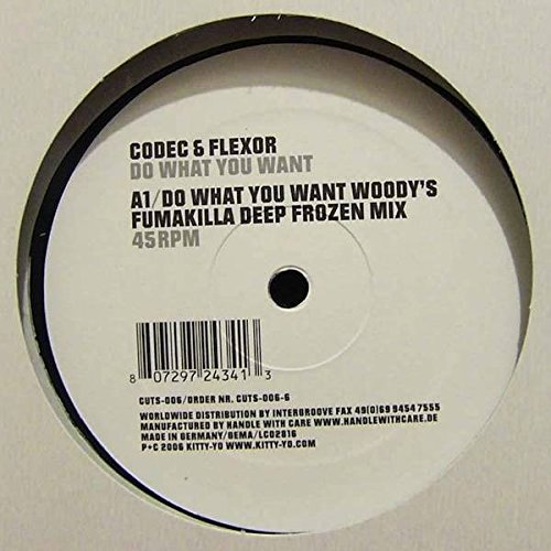 Do What You Want Remix (Vinyl) von Kitty-Cuts (Intergroove)