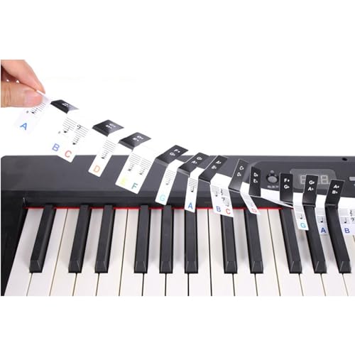 Notentabelle für Klavier und Keyboard, Anleitung für Klaviertastaturaufkleber für Anfänger, 88 Tasten in voller Größe, kompletter farbiger Klaviermusikunterricht (pvc-color-88key) von Kixnor