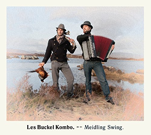 Meidling Swing von Hoanzl
