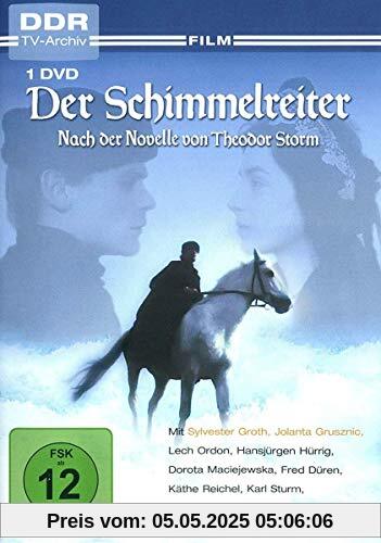 Der Schimmelreiter von Klaus Gendries