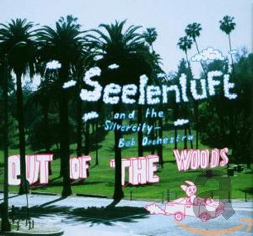 Out of the Woods CD Out of the Woods CD von Theo Klein