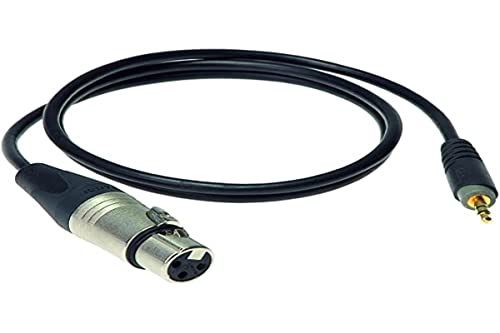 Klotz St. Mini Klinke - XLR female von Klotz