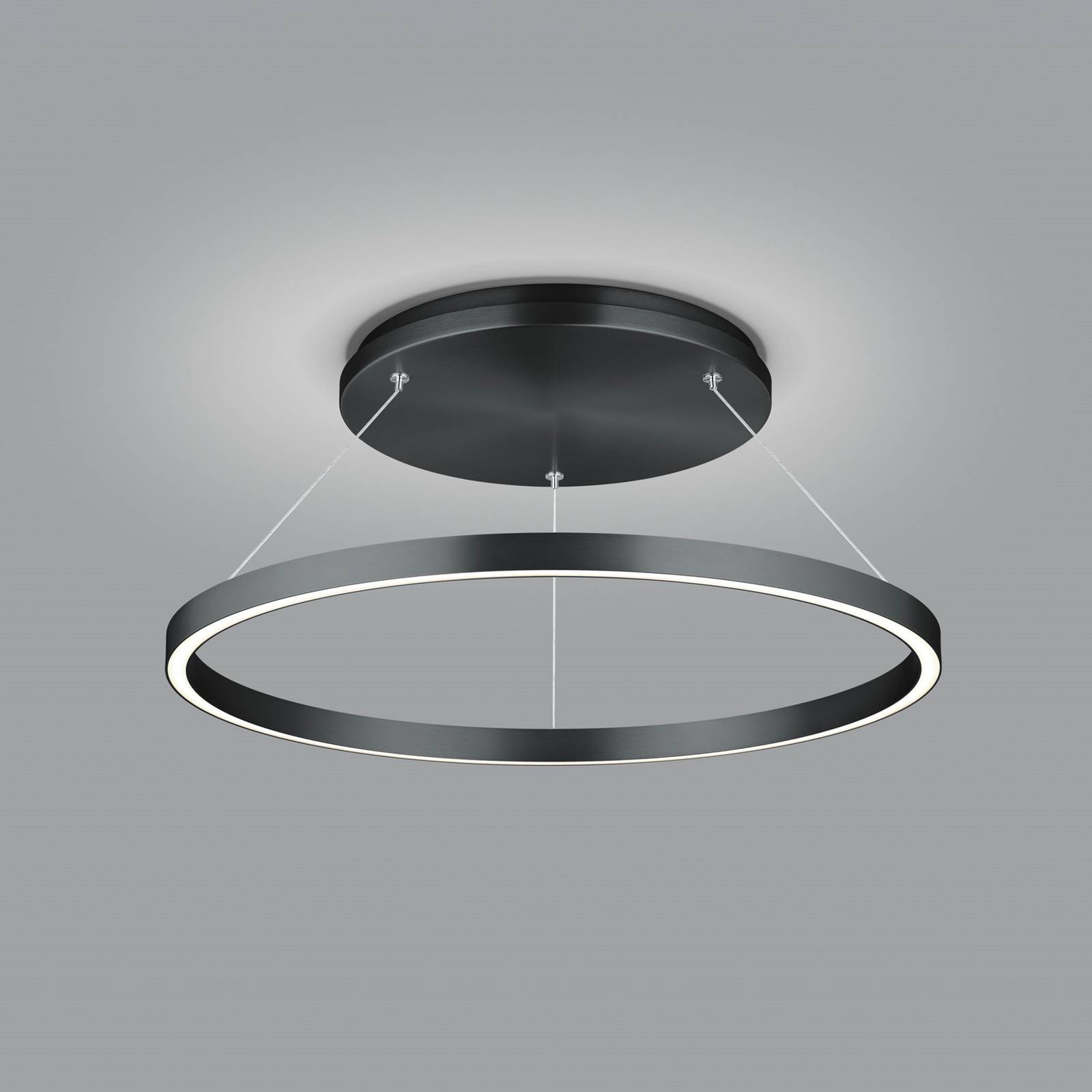 LED-Hängeleuchte Lisa-D, ringförmig, schwarz von Knapstein