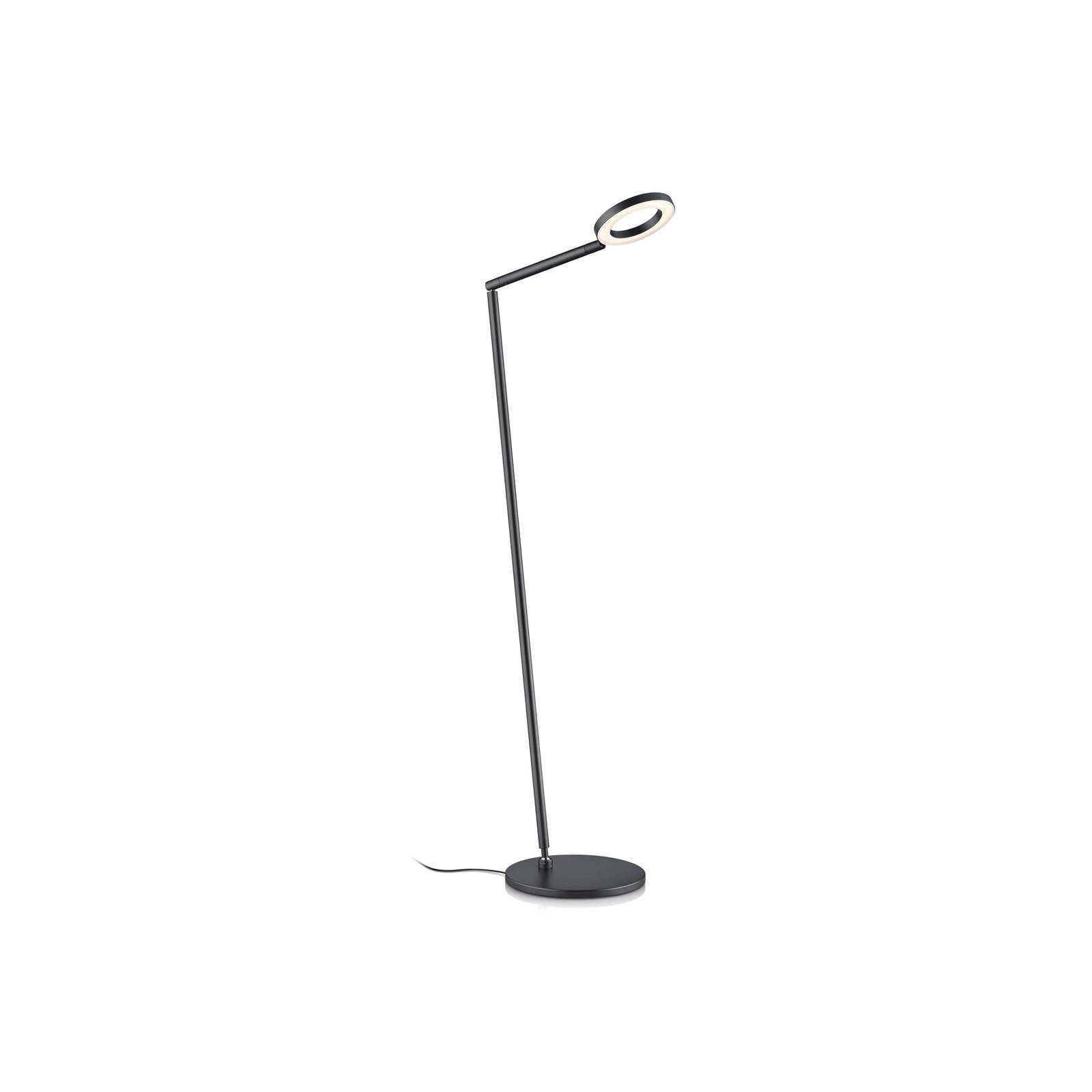 LED-Stehleuchte Tessa-S, schwarz, CCT, Gestensteuerung LED-Stehleuchte Tessa-S, schwarz, CCT, Gestensteuerung von Knapstein