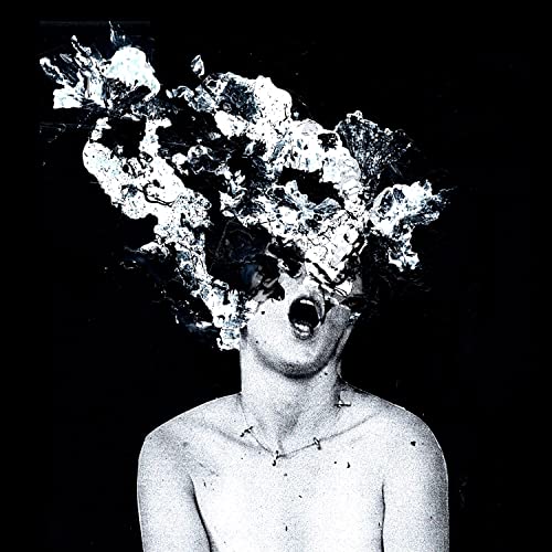 Swallow [Musikkassette] von Vision Gate / TG