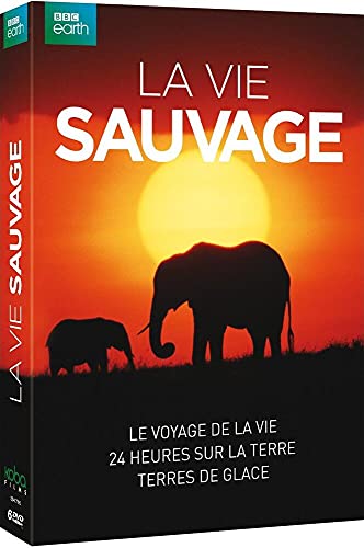 Coffret la vie sauvage 3 films : le voyage de la vie ; 24 heures sur la terre ; terres de glace [FR Import] von Koba