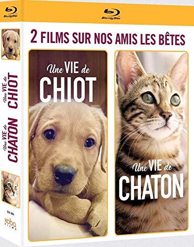 Coffret nos animaux de compagnie [Blu-ray] [FR Import] von Koba