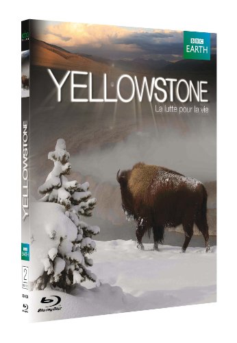 Yellowstone, la lutte pour la vie [Blu-ray] [FR Import] von Koba