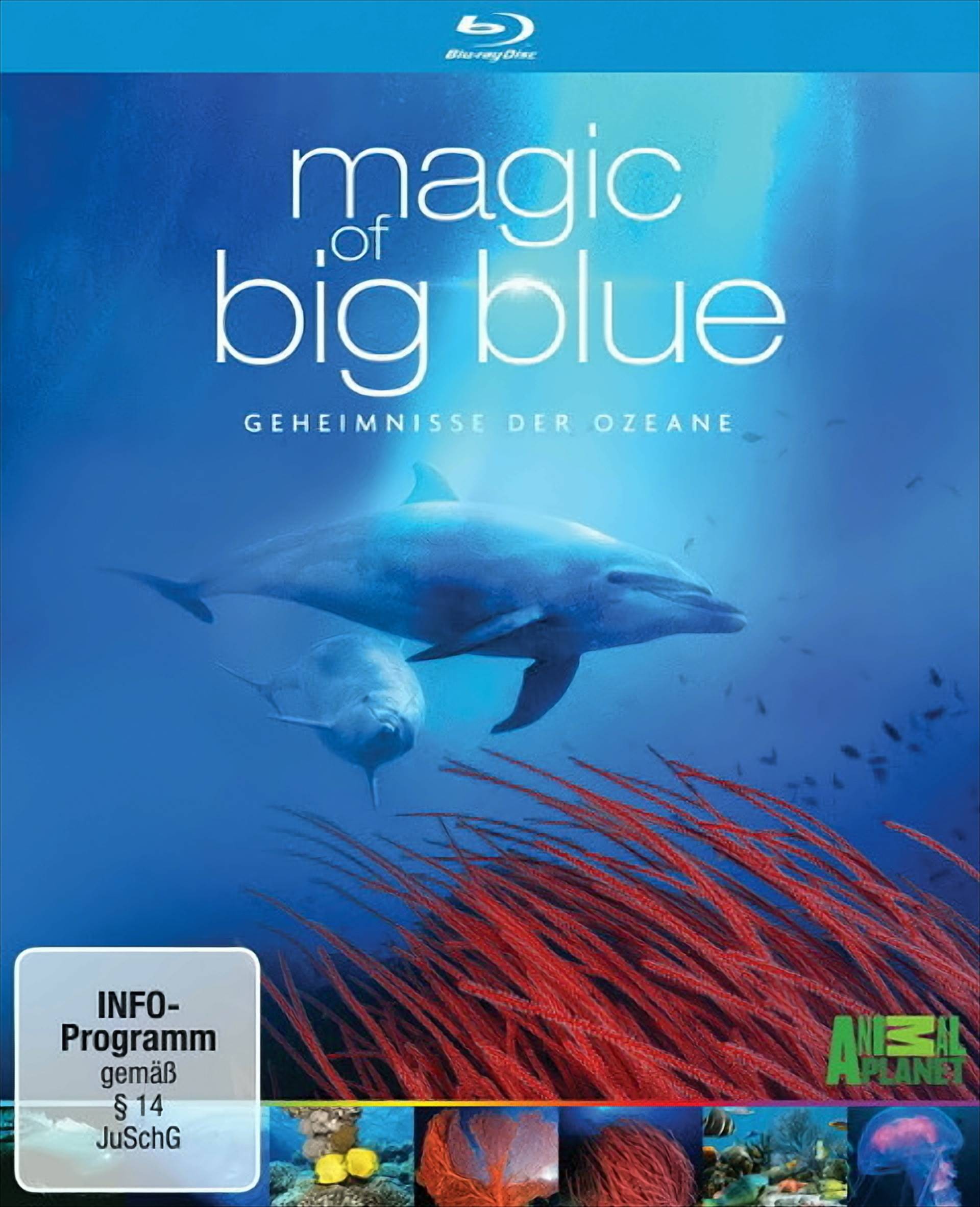 Magic of Big Blue - Geheimnisse der Ozeane (3 Discs) von Koch Media