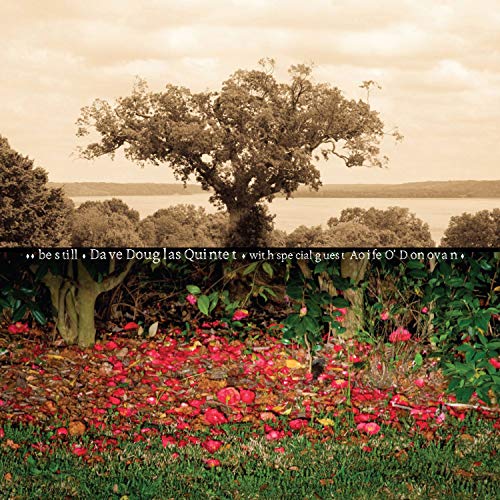Be Still (Lp) [Vinyl LP] von GREENLEAF MUSIC
