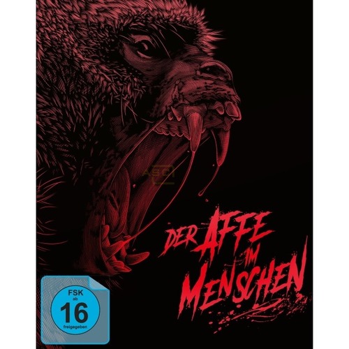 Der Affe im Menschen (George A. Romero)      (Mediabook, Blu-ray+DVD+Bonus-Blu-ray) von KochMedia